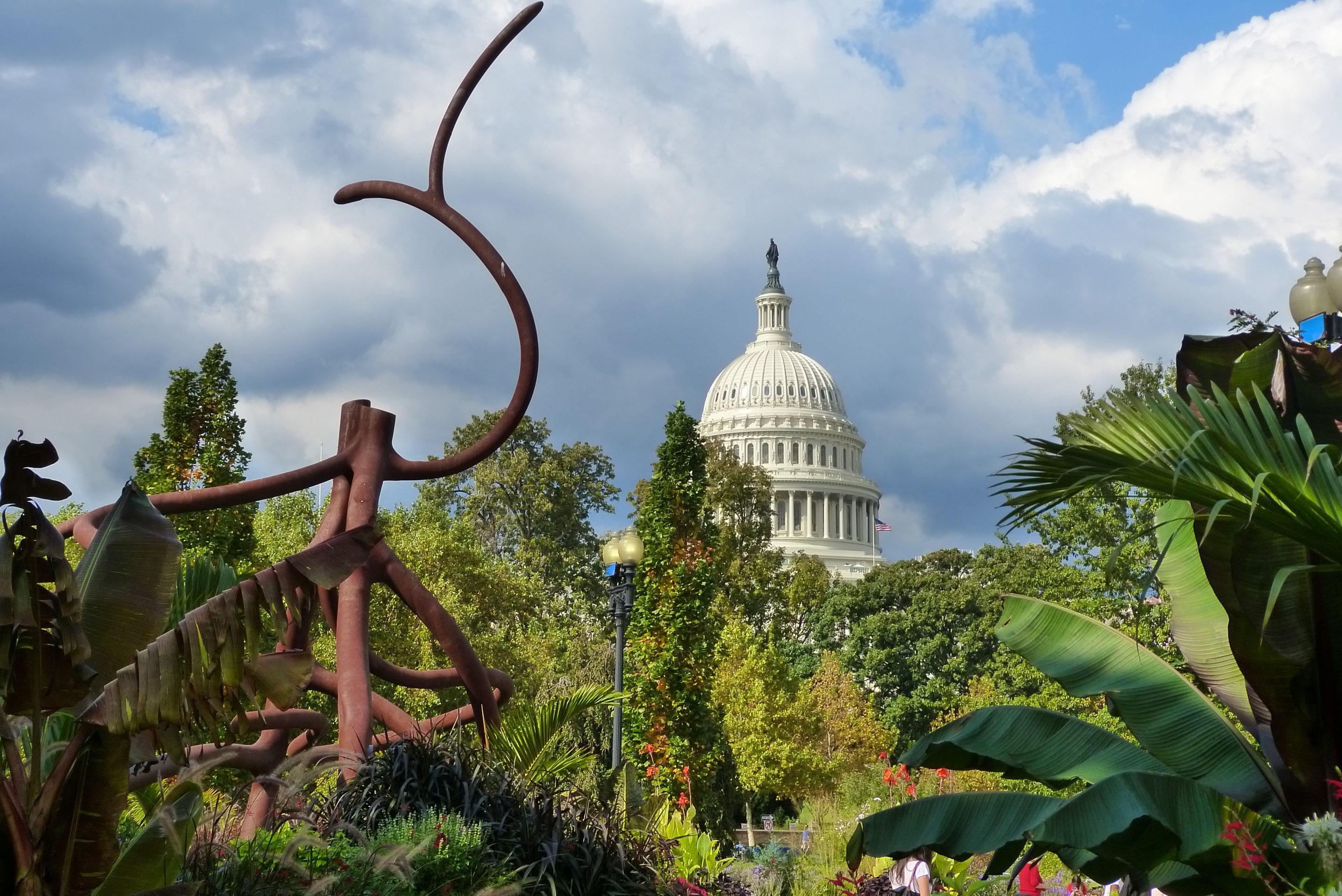 Capitol Dome with clouds and sky and greenery in foreground